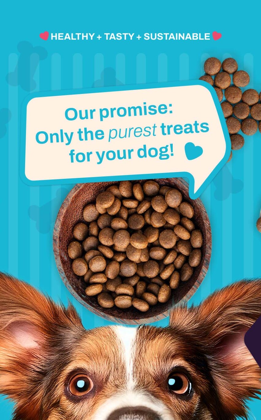 Veganes Hundesnack-Markendesign mit Illustration und Claim für The Good Treat