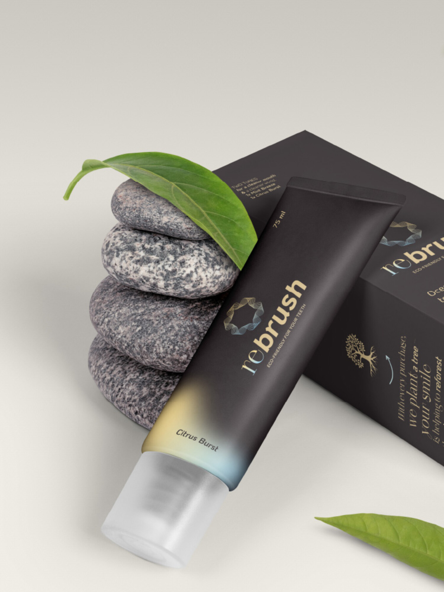 Visuelle Sprache im Brand Design für nachhaltige Marken – Natürlichkeit und Wohlgefühl für Rebrush